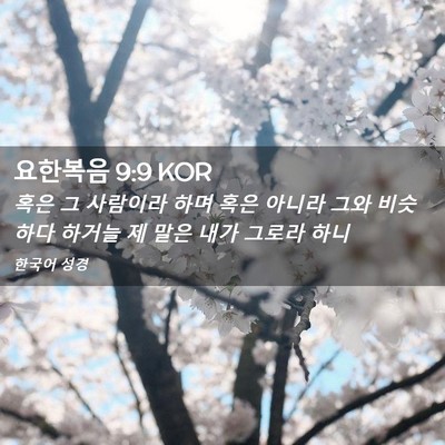 Picture 02 - 요한복음 9:9 KOR - 혹은 그 사람이라 하며 혹은 아니라 - Bible Verse Picture