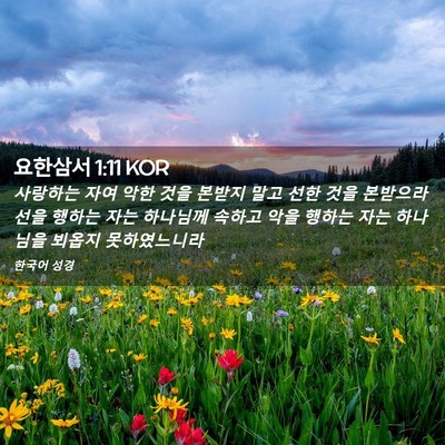 Picture 02 - 요한삼서 1:11 KOR - 사랑하는 자여 악한 것을 본받지 - Bible Verse Picture