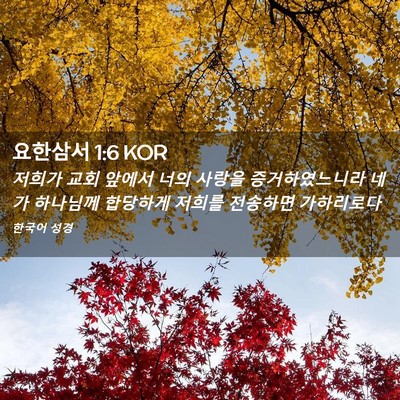 Picture 02 - 요한삼서 1:6 KOR - 저희가 교회 앞에서 너의 사랑을 - Bible Verse Picture