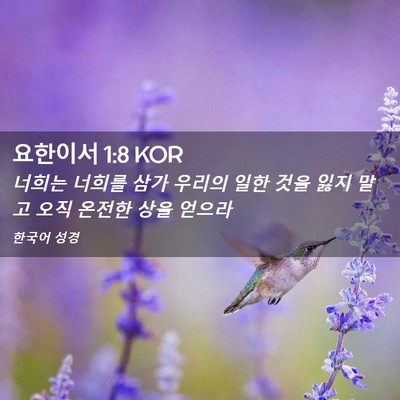 Picture 02 - 요한이서 1:8 KOR - 너희는 너희를 삼가 우리의 일한 - Bible Verse Picture