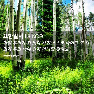 Picture 02 - 요한일서 1:8 KOR - 만일 우리가 죄 없다 하면 스스로 - Bible Verse Picture