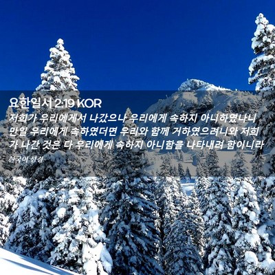 Picture 02 - 요한일서 2:19 KOR - 저희가 우리에게서 나갔으나 - Bible Verse Picture