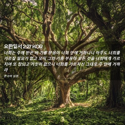Picture 02 - 요한일서 2:27 KOR - 너희는 주께 받은 바 기름 부음이 - Bible Verse Picture