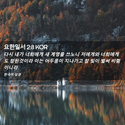 Picture 02 - 요한일서 2:8 KOR - 다시 내가 너희에게 새 계명을 - Bible Verse Picture