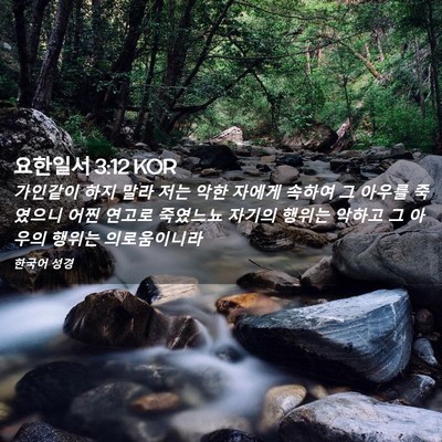 Picture 02 - 요한일서 3:12 KOR - 가인같이 하지 말라 저는 악한 - Bible Verse Picture