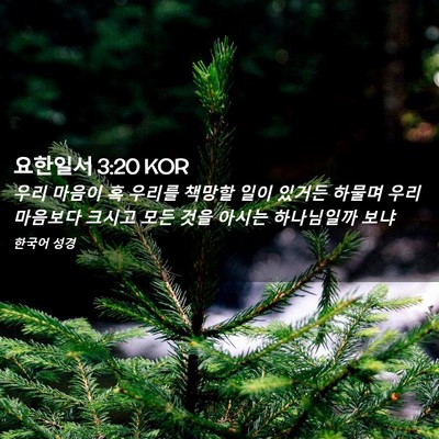 Picture 02 - 요한일서 3:20 KOR - 우리 마음이 혹 우리를 책망할 일이 - Bible Verse Picture