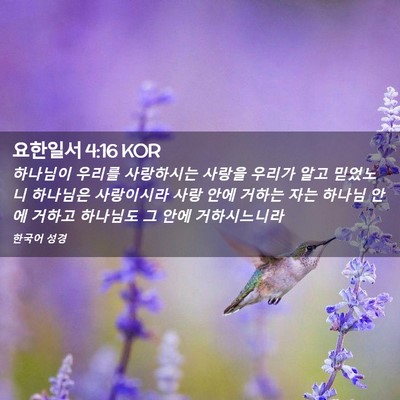 Picture 02 - 요한일서 4:16 KOR - 하나님이 우리를 사랑하시는 사랑을 - Bible Verse Picture