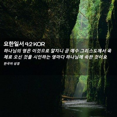 Picture 02 - 요한일서 4:2 KOR - 하나님의 영은 이것으로 알지니 곧 - Bible Verse Picture