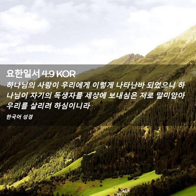 Picture 02 - 요한일서 4:9 KOR - 하나님의 사랑이 우리에게 이렇게 - Bible Verse Picture
