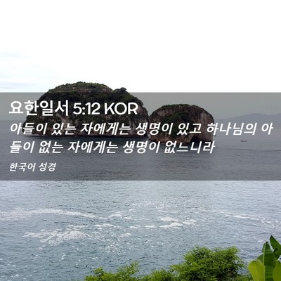 Picture 02 - 요한일서 5:12 KOR - 아들이 있는 자에게는 생명이 있고 - Bible Verse Picture