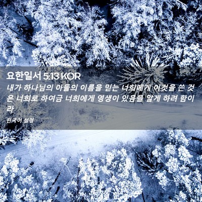 Picture 02 - 요한일서 5:13 KOR - 내가 하나님의 아들의 이름을 믿는 - Bible Verse Picture
