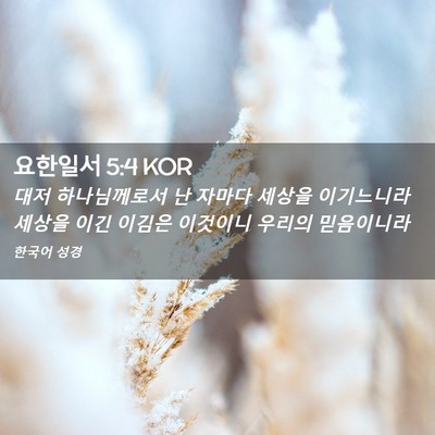 Picture 02 - 요한일서 5:4 KOR - 대저 하나님께로서 난 자마다 세상을 - Bible Verse Picture