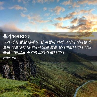 Picture 02 - 욥기 1:16 KOR - 그가 아직 말할 때에 또 한 사람이 - Bible Verse Picture