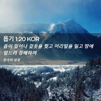 Picture 02 - 욥기 1:20 KOR - 욥이 일어나 겉옷을 찢고 머리털을 - Bible Verse Picture