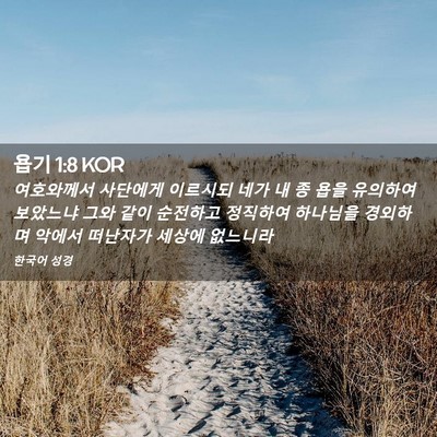 Picture 02 - 욥기 1:8 KOR - 여호와께서 사단에게 이르시되 네가 - Bible Verse Picture