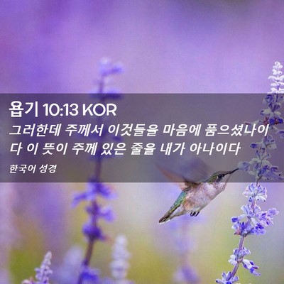 Picture 02 - 욥기 10:13 KOR - 그러한데 주께서 이것들을 마음에 - Bible Verse Picture