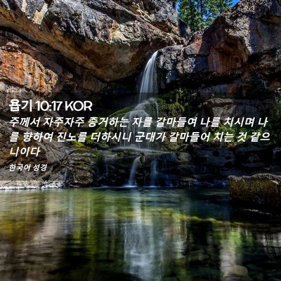 Picture 02 - 욥기 10:17 KOR - 주께서 자주자주 증거하는 자를 - Bible Verse Picture