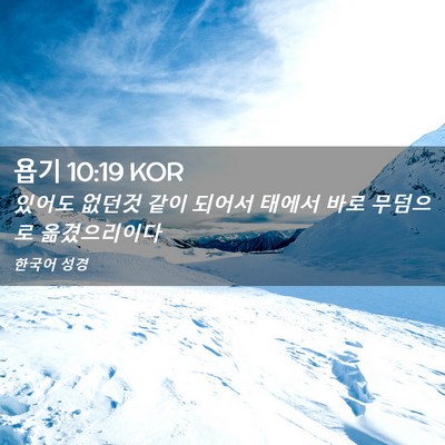 Picture 02 - 욥기 10:19 KOR - 있어도 없던것 같이 되어서 태에서 - Bible Verse Picture