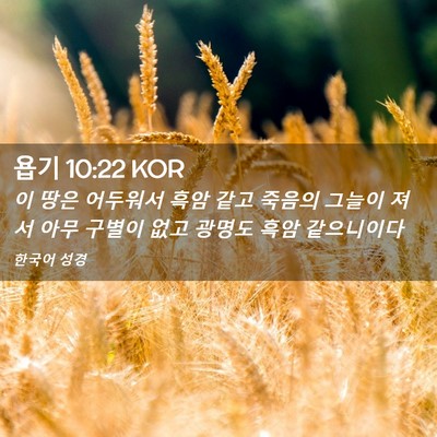 Picture 02 - 욥기 10:22 KOR - 이 땅은 어두워서 흑암 같고 죽음의 - Bible Verse Picture