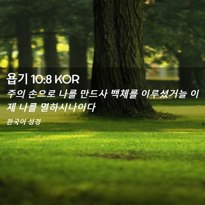 Picture 02 - 욥기 10:8 KOR - 주의 손으로 나를 만드사 백체를 - Bible Verse Picture