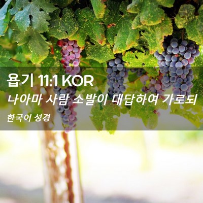 Picture 02 - 욥기 11:1 KOR - 나아마 사람 소발이 대답하여 - Bible Verse Picture
