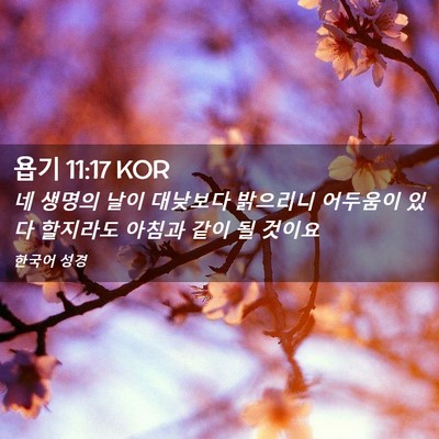 Picture 02 - 욥기 11:17 KOR - 네 생명의 날이 대낮보다 밝으리니 - Bible Verse Picture