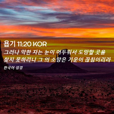 Picture 02 - 욥기 11:20 KOR - 그러나 악한 자는 눈이 어두워서 - Bible Verse Picture