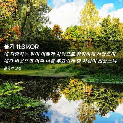 Picture 02 - 욥기 11:3 KOR - 네 자랑하는 말이 어떻게 사람으로 - Bible Verse Picture