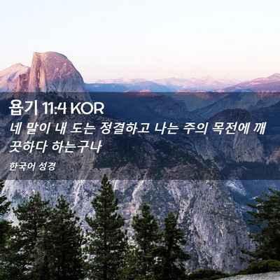 Picture 02 - 욥기 11:4 KOR - 네 말이 내 도는 정결하고 나는 주의 - Bible Verse Picture
