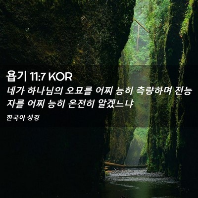 Picture 02 - 욥기 11:7 KOR - 네가 하나님의 오묘를 어찌 능히 - Bible Verse Picture