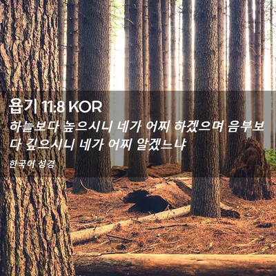 Picture 02 - 욥기 11:8 KOR - 하늘보다 높으시니 네가 어찌 - Bible Verse Picture