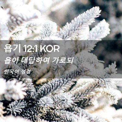 Picture 02 - 욥기 12:1 KOR - 욥이 대답하여 - Bible Verse Picture