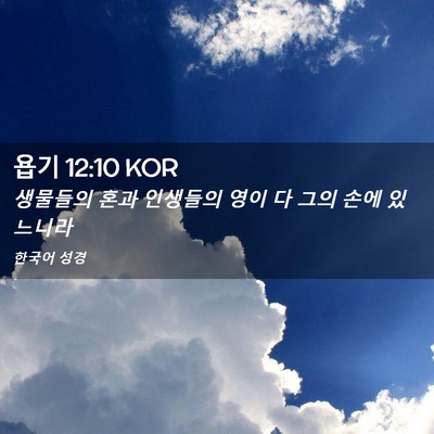 Picture 02 - 욥기 12:10 KOR - 생물들의 혼과 인생들의 영이 다 - Bible Verse Picture