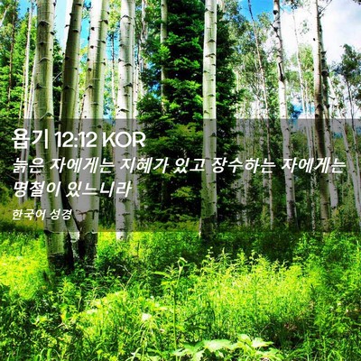 Picture 02 - 욥기 12:12 KOR - 늙은 자에게는 지혜가 있고 장수하는 - Bible Verse Picture