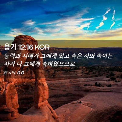 Picture 02 - 욥기 12:16 KOR - 능력과 지혜가 그에게 있고 속은 - Bible Verse Picture