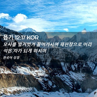 Picture 02 - 욥기 12:17 KOR - 모사를 벌거벗겨 끌어가시며 - Bible Verse Picture