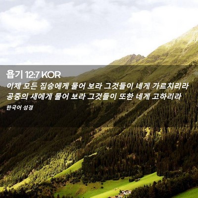 Picture 02 - 욥기 12:7 KOR - 이제 모든 짐승에게 물어 보라 - Bible Verse Picture
