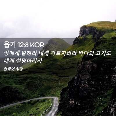 Picture 02 - 욥기 12:8 KOR - 땅에게 말하라 네게 가르치리라 - Bible Verse Picture