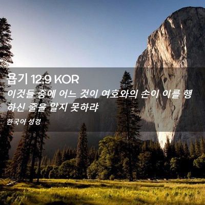 Picture 02 - 욥기 12:9 KOR - 이것들 중에 어느 것이 여호와의 - Bible Verse Picture