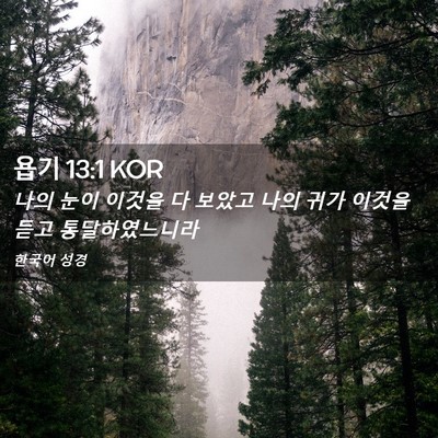 Picture 02 - 욥기 13:1 KOR - 나의 눈이 이것을 다 보았고 나의 - Bible Verse Picture