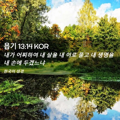 Picture 02 - 욥기 13:14 KOR - 내가 어찌하여 내 살을 내 이로 물고 - Bible Verse Picture
