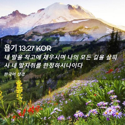 Picture 02 - 욥기 13:27 KOR - 내 발을 착고에 채우시며 나의 모든 - Bible Verse Picture