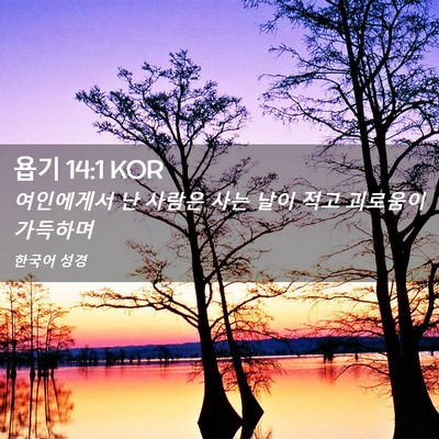 Picture 02 - 욥기 14:1 KOR - 여인에게서 난 사람은 사는 날이 - Bible Verse Picture