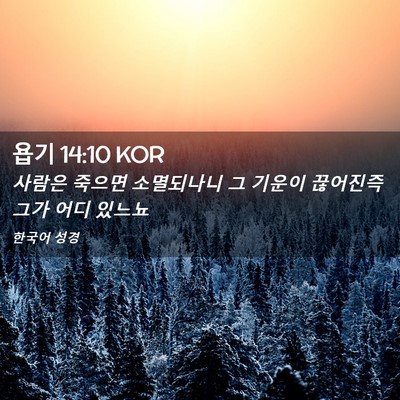 Picture 02 - 욥기 14:10 KOR - 사람은 죽으면 소멸되나니 그 기운이 - Bible Verse Picture
