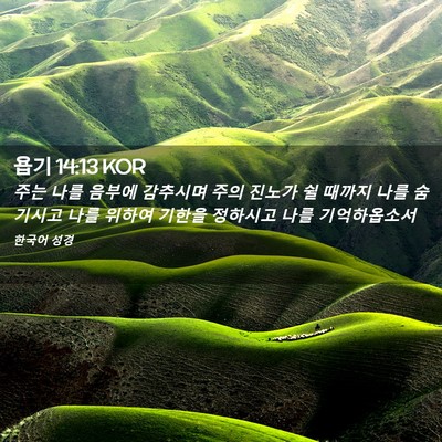 Picture 02 - 욥기 14:13 KOR - 주는 나를 음부에 감추시며 주의 - Bible Verse Picture