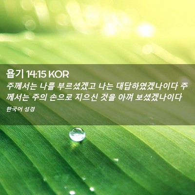 Picture 02 - 욥기 14:15 KOR - 주께서는 나를 부르셨겠고 나는 - Bible Verse Picture