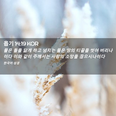 Picture 02 - 욥기 14:19 KOR - 물은 돌을 닳게 하고 넘치는 물은 - Bible Verse Picture