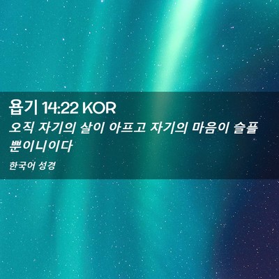 Picture 02 - 욥기 14:22 KOR - 오직 자기의 살이 아프고 자기의 - Bible Verse Picture