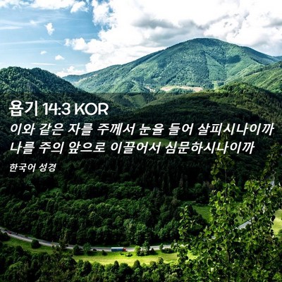Picture 02 - 욥기 14:3 KOR - 이와 같은 자를 주께서 눈을 들어 - Bible Verse Picture