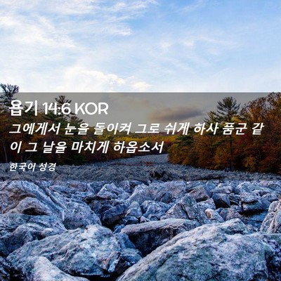 Picture 02 - 욥기 14:6 KOR - 그에게서 눈을 돌이켜 그로 쉬게 - Bible Verse Picture
